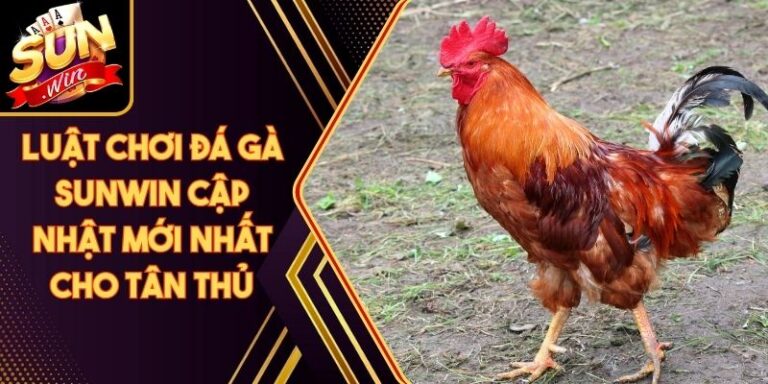 Luật Chơi Đá Gà Sunwin Cập Nhật Mới Nhất Cho Tân Thủ 1 Luật Chơi Đá Gà Sunwin Cập Nhật Mới Nhất Cho Tân Thủ